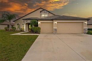 5337 Sandy Shell Dr in Apollo Beach, FL - Foto de edificio - Building Photo