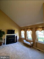 4359 Silas Hutchinson Dr in Chantilly, VA - Building Photo