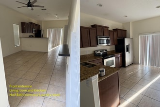 20427 Needletree Dr in Tampa, FL - Building Photo - Building Photo
