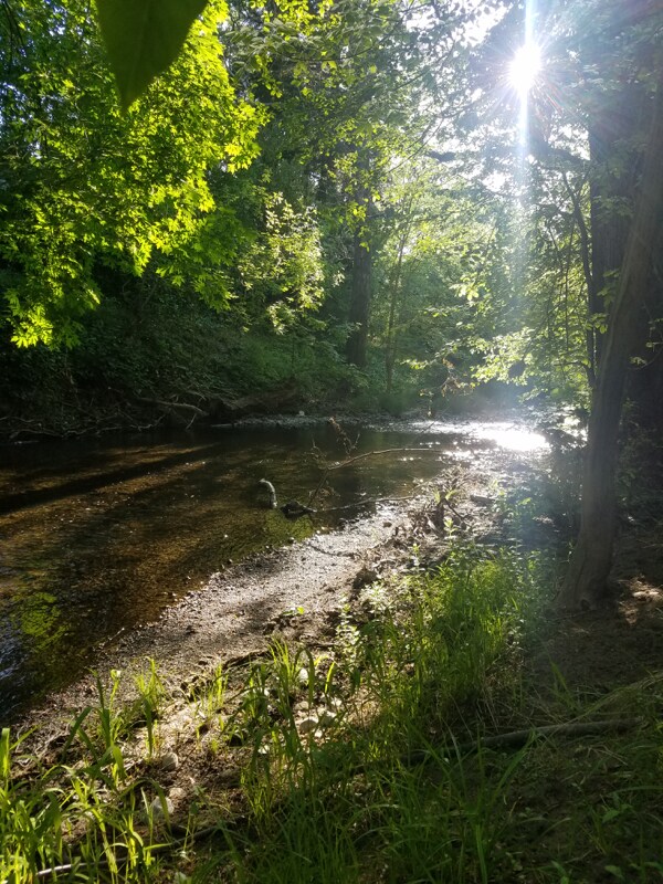 2018 4th St in Santa Rosa, CA - Building Photo - Building Photo