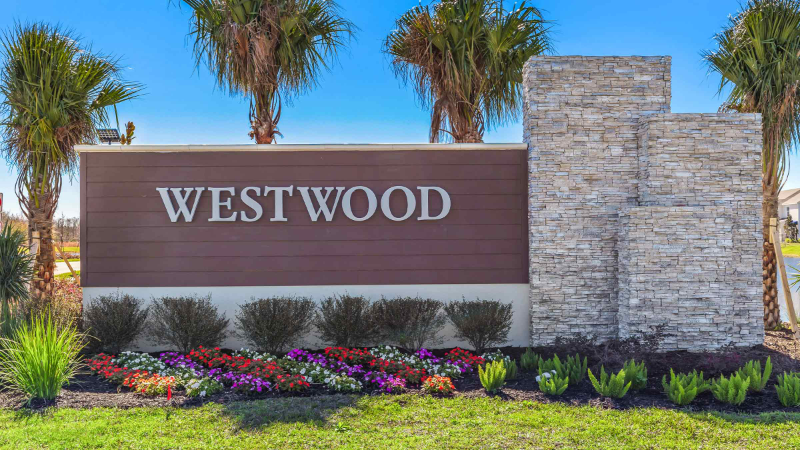 3669 Copper Beech Dr in Land O Lakes, FL - Building Photo