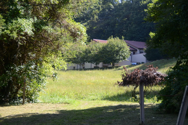 The Arbors in Waynesville, NC - Building Photo - Building Photo