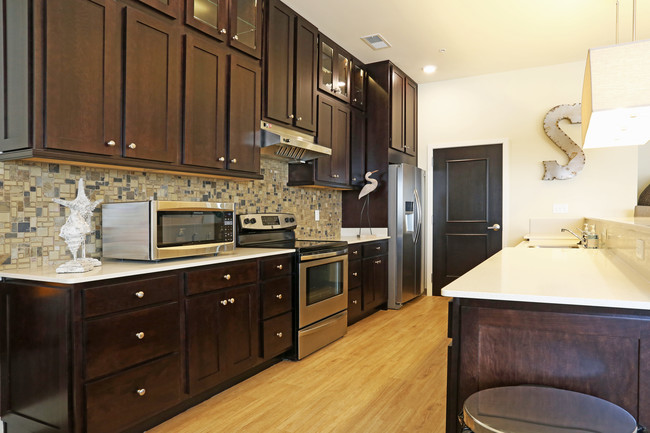 Solace Apartments in Virginia Beach, VA - Building Photo - Interior Photo