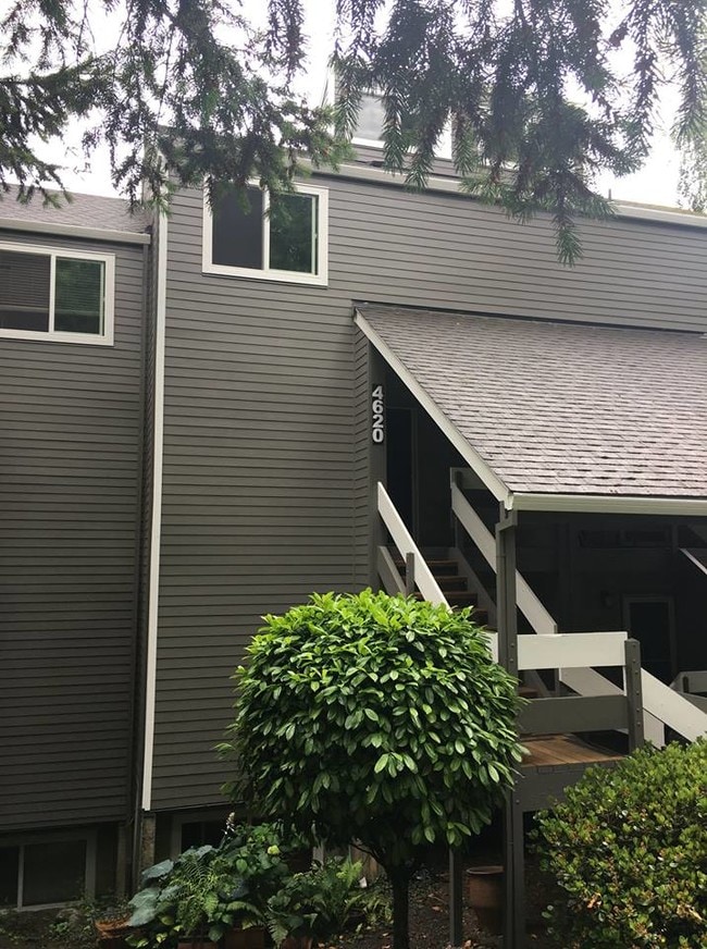 property at 4620 Lower Dr