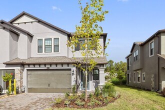 4547 Ancona Way in Wesley Chapel, FL - Building Photo - Building Photo