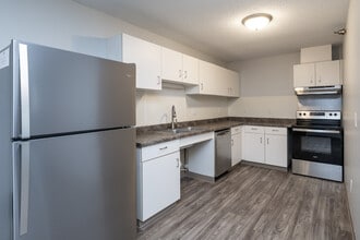 The Riverview in Rochester, MN - Foto de edificio - Interior Photo