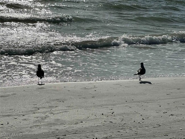 property at 13527 Siesta Pines Ct