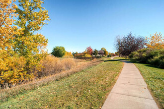 Pinecone Apartments in Fort Collins, CO - Building Photo - Building Photo