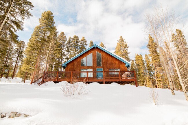 69 Snowshoe Cir in Breckenridge, CO - Building Photo - Building Photo