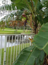 4015 Banyan Trails Dr in Coconut Creek, FL - Foto de edificio - Building Photo