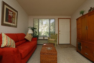 Ashton Place in DeLand, FL - Foto de edificio - Interior Photo