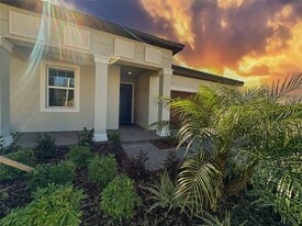 17216 Mango Shay Ct in Land O Lakes, FL - Building Photo