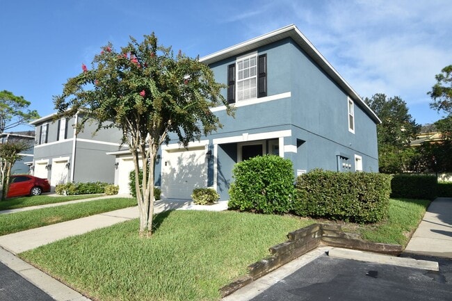 954 Coquina Rock St