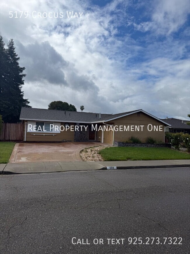 5179 Crocus Way in Livermore, CA - Building Photo - Building Photo