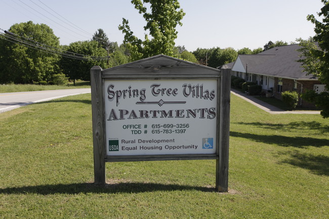 Spring Tree Villas in Red Boiling Springs, TN - Foto de edificio - Building Photo