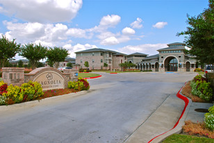 Magnolia at Mesquite Creek Apartments