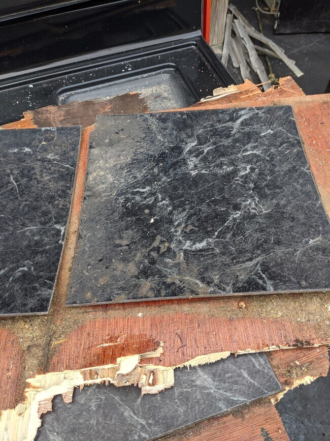 5886 Shadymist Ln in Cincinnati, OH - Building Photo - Building Photo