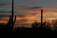 Building Photo - The Agave Apartments in Tucson, Arizona