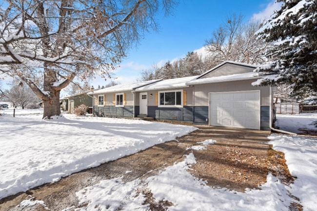 413 Irish Dr in Fort Collins, CO - Foto de edificio - Building Photo