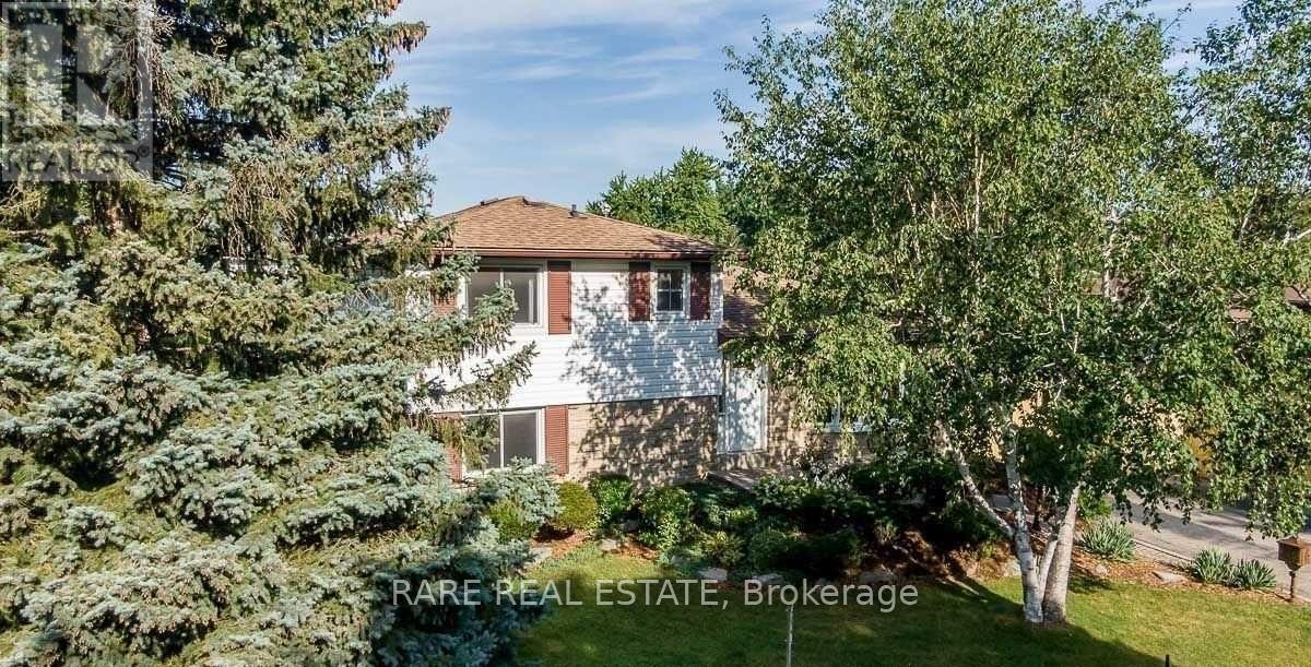 51 Ferndale Crescent in Brampton, ON - Building Photo