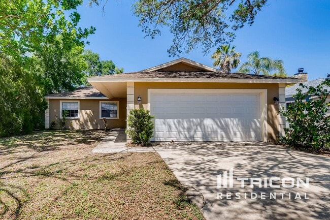1708 Hibiscus Cir N in Oldsmar, FL - Foto de edificio - Building Photo