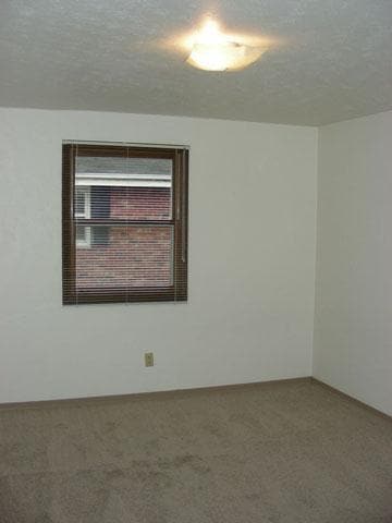 Olde Pulley Lane Photo