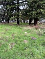 39A Stark Ln in Jackson, CA - Building Photo