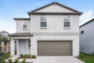 17895 Blissful Stars Dr in Lutz, FL - Building Photo