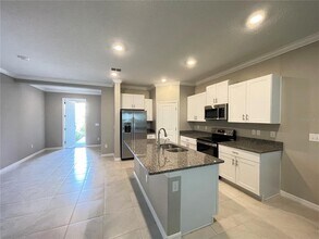 31653 Blue Passing Loop in Wesley Chapel, FL - Building Photo - Building Photo