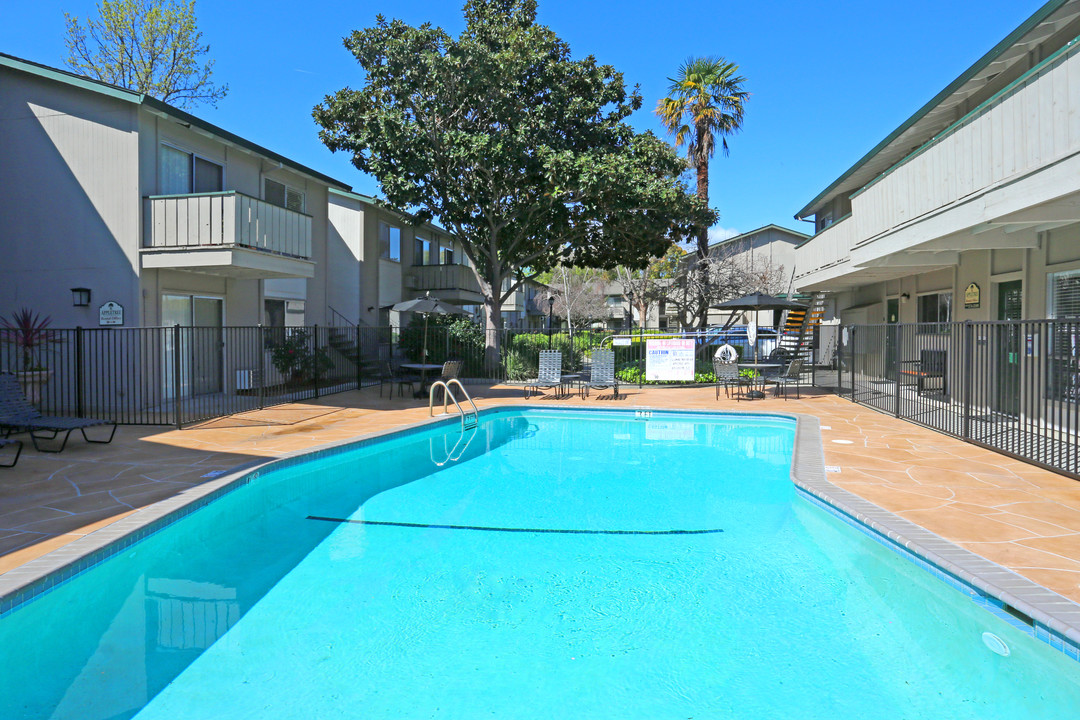 Campbell West Apartments in Campbell, CA - Building Photo