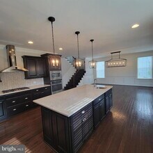 41189 Blue Oat Ct in Aldie, VA - Building Photo - Building Photo