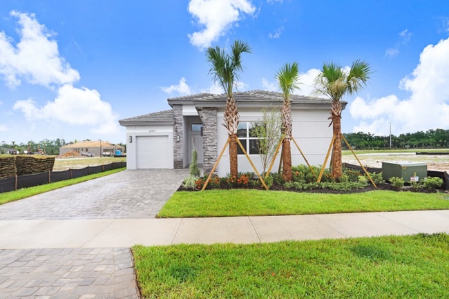 30000 Neroli St in Wesley Chapel, FL - Building Photo - Building Photo