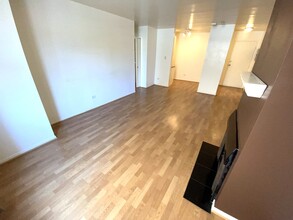 435 W Oakdale Ave in Chicago, IL - Building Photo - Building Photo