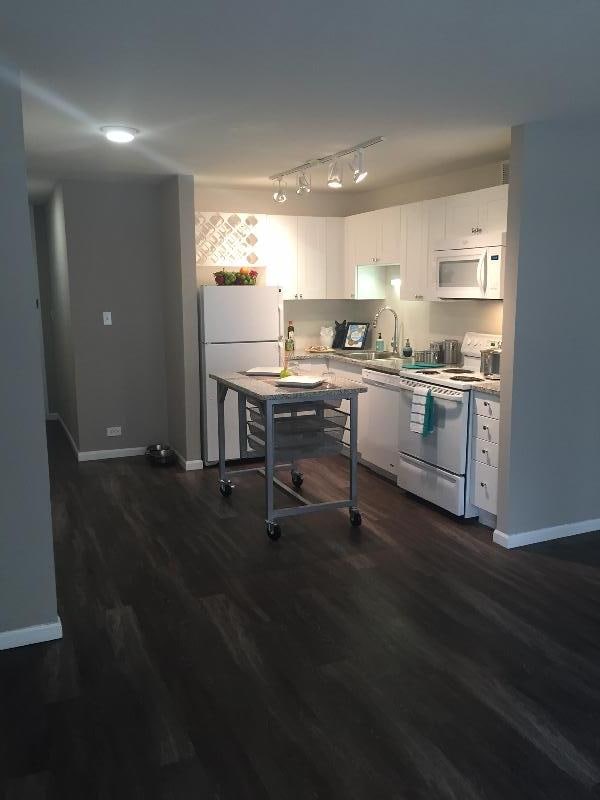 855 N Dewitt Pl in Chicago, IL - Foto de edificio - Building Photo