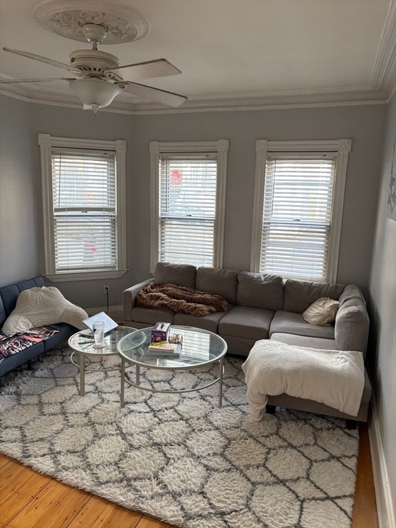 property at 59 Gates St