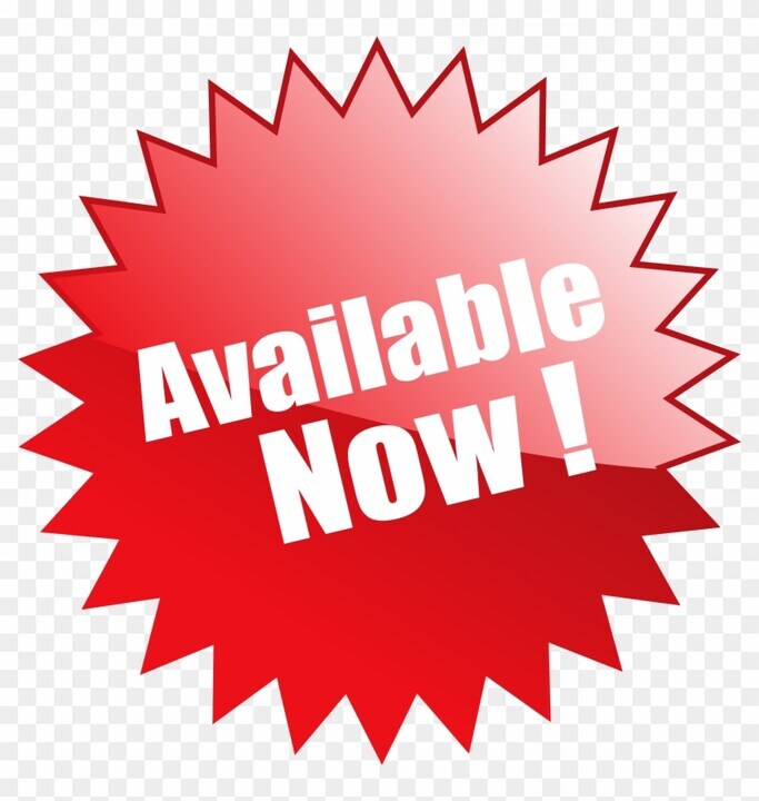 8203 Sun Spring Circle in Orlando, FL - Building Photo