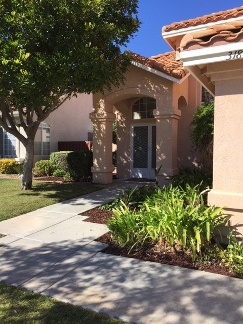 31864 Corte Montecito in Temecula, CA - Building Photo - Building Photo