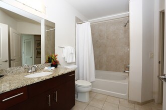 Element in Tampa, FL - Foto de edificio - Interior Photo