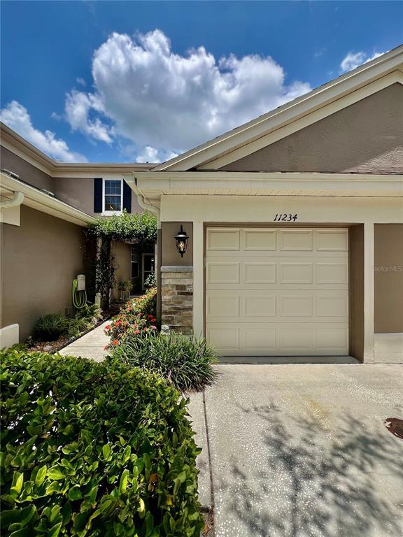 11234 Windsor Pl Cir in Tampa, FL - Building Photo - Building Photo