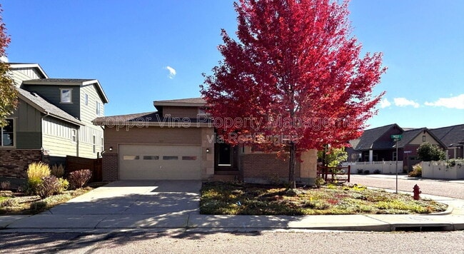 property at 900 Treece St