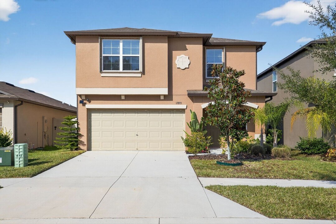 17893 Cloudless Bliss Dr in Lutz, FL - Building Photo