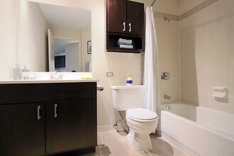 11 W Chestnut St in Chicago, IL - Building Photo - Building Photo