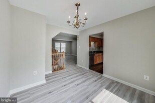13504 Hayworth Dr in Rockville, MD - Building Photo