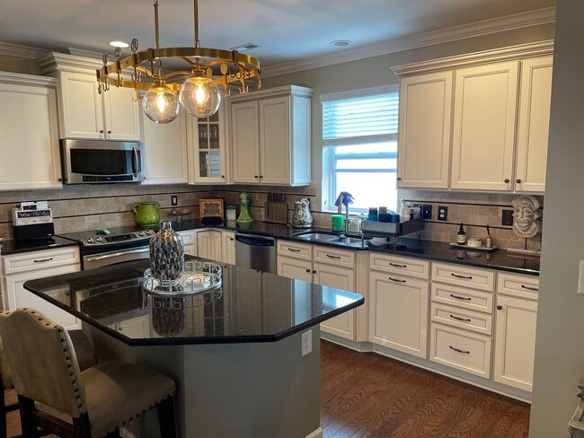 19029 Park Terrace Ln in Davidson, NC - Building Photo - Building Photo