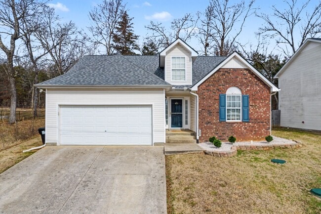 property at 401 Niagra Ln