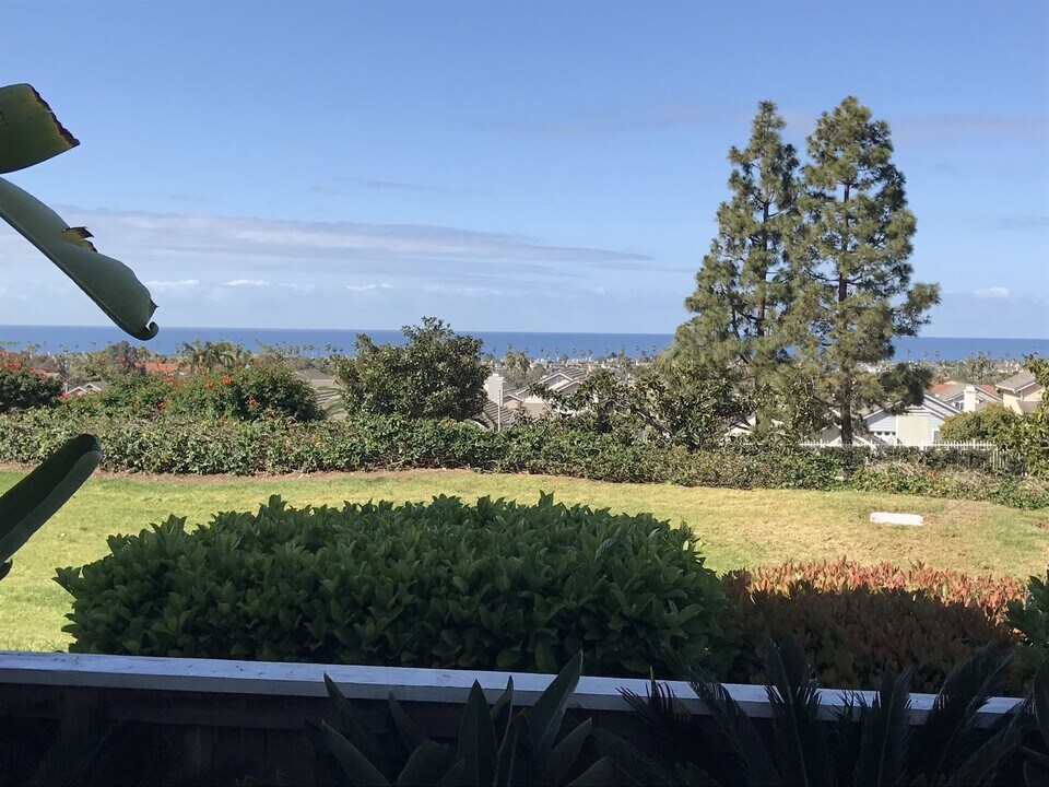 6923 Carnation Dr in Carlsbad, CA - Building Photo