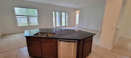12706 Westside Vlg Lp in Windermere, FL - Building Photo - Building Photo