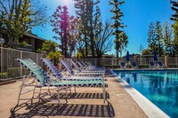 Building Photo - The Terrace Apartments in Riverside, California