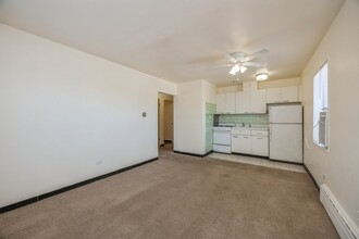 148 Ann St in Clarendon Hills, IL - Building Photo - Building Photo
