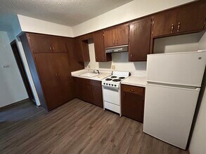 519 S Dodge St in Iowa City, IA - Foto de edificio - Building Photo